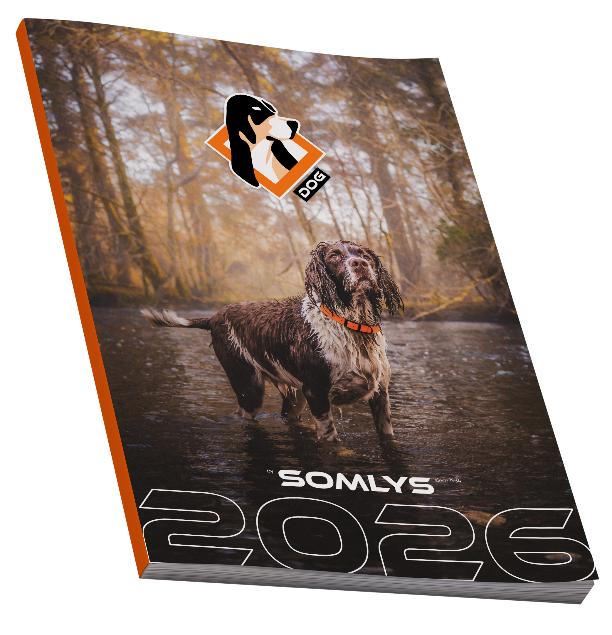 Catalogue Somlys Dog