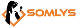 Somlys